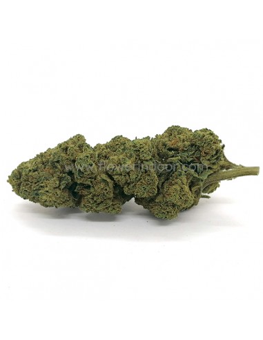 Flores CBD Cannatonic