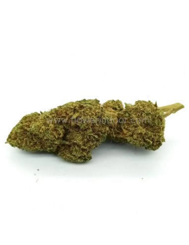 Flores CBD Orange