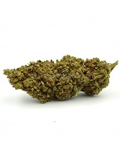 Flores CBD Limoncello