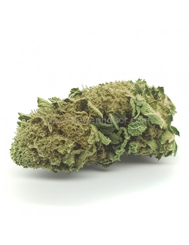 Flores CBD Ice Cream Hydro