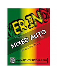 Semillas Mixed Auto