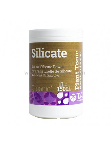 Silicate (Mineral Magic)