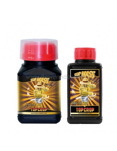 Top Mass Top Crop