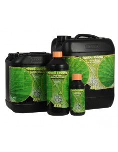 ATA TERRA LEAVES ATAMI