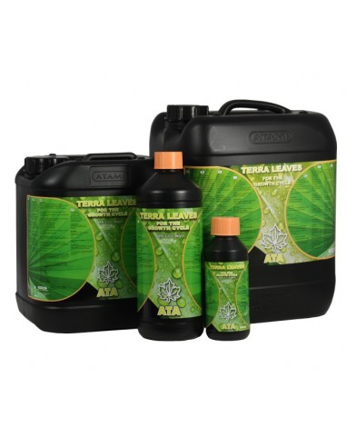 ATA TERRA LEAVES ATAMI