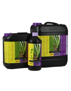 1-COMPONENT SOIL NUTRITION B'CUZZ ATAMI