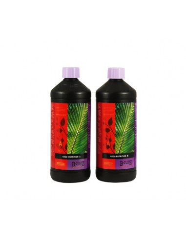 COCO A+B B'CUZZ ATAMI