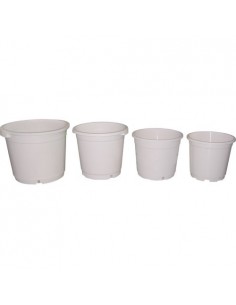 Maceta blanca redonda